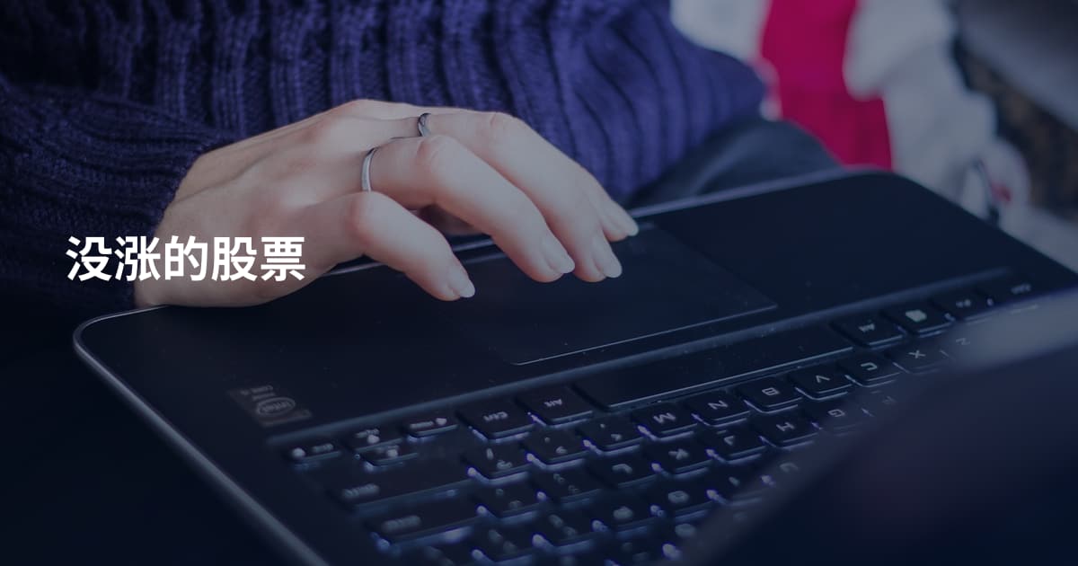 没涨的股票