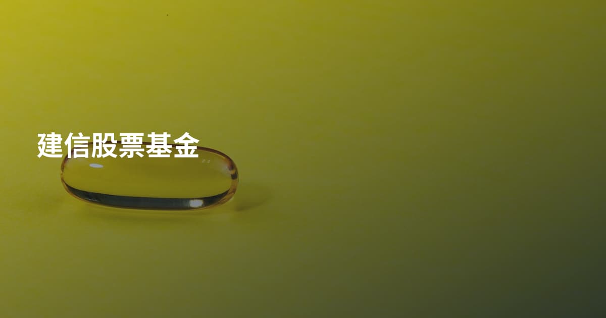 建信股票基金