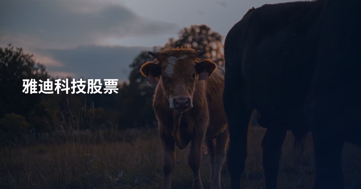 雅迪科技股票