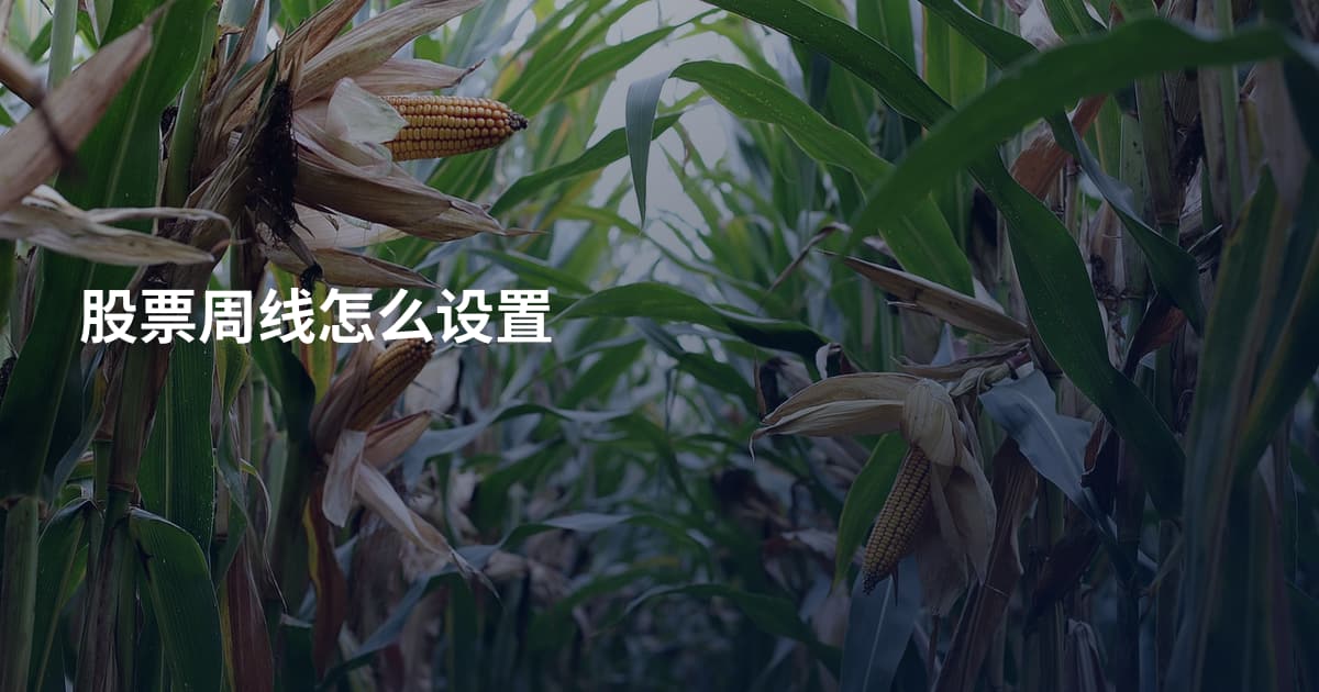 股票周线怎么设置