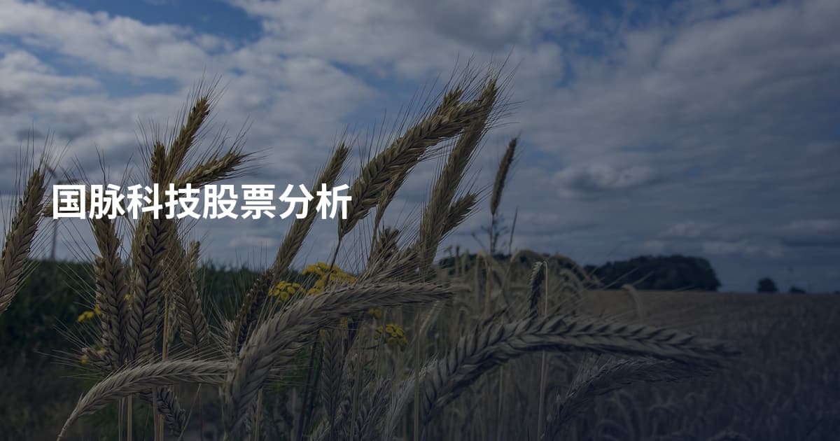 国脉科技股票分析