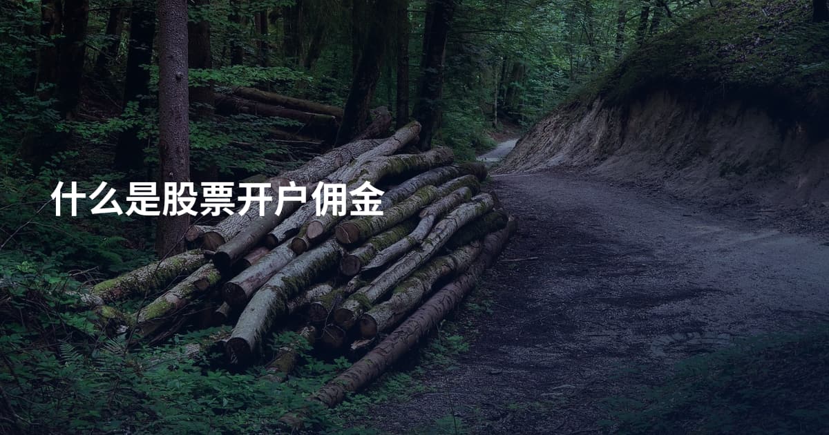 什么是股票开户佣金