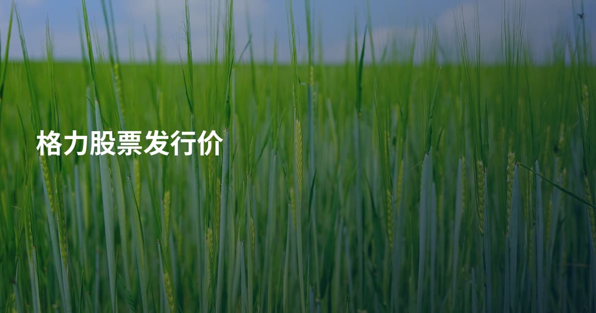 格力股票发行价