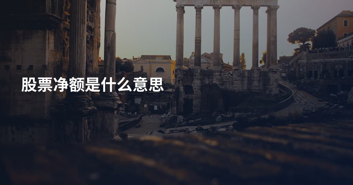 股票净额是什么意思
