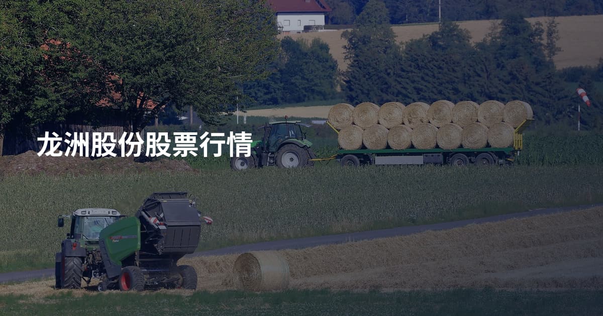 龙洲股份股票行情