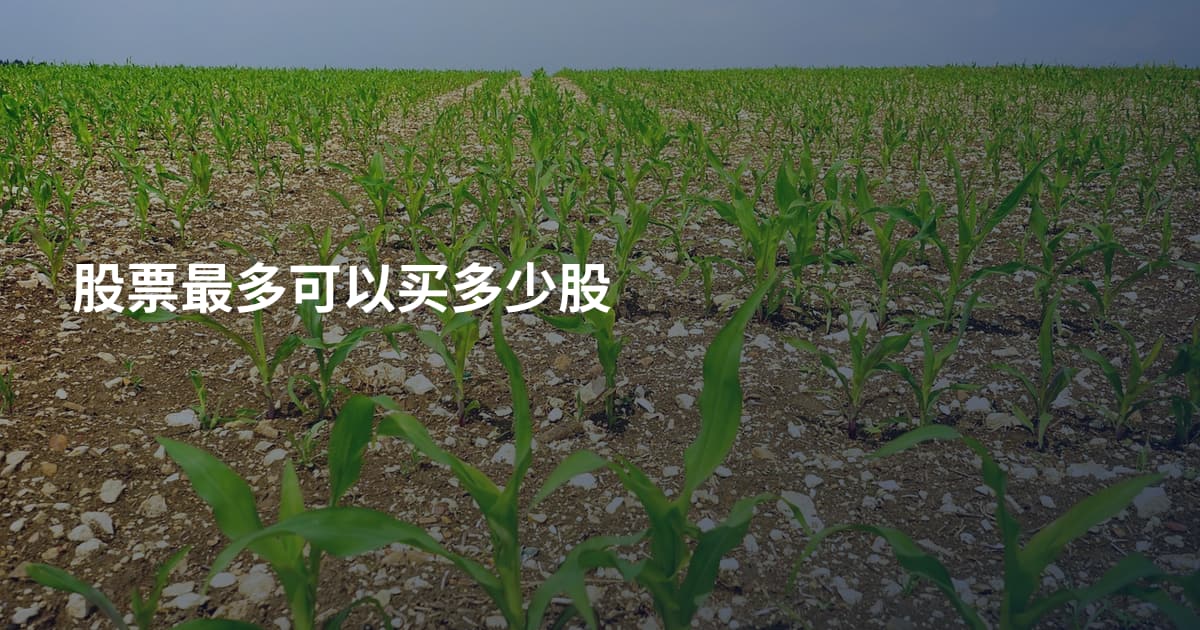 股票最多可以买多少股
