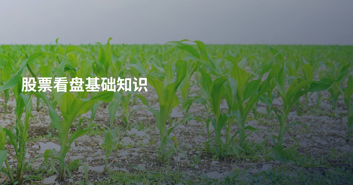 股票看盘基础知识
