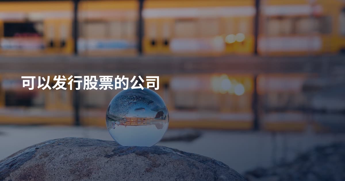 可以发行股票的公司