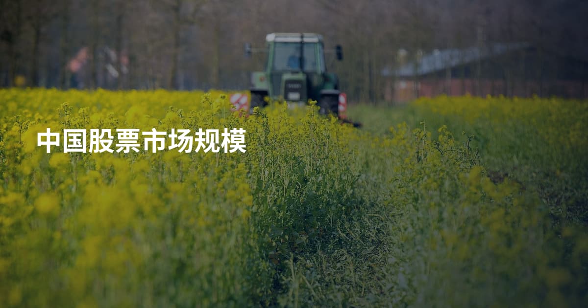 中国股票市场规模