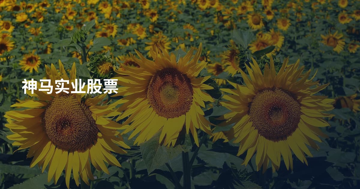 神马实业股票