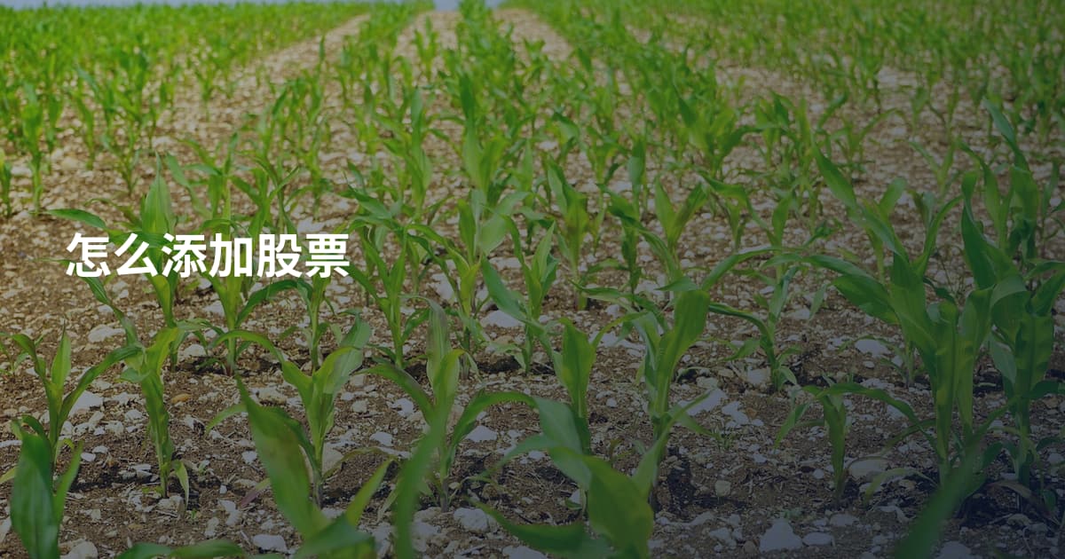 怎么添加股票