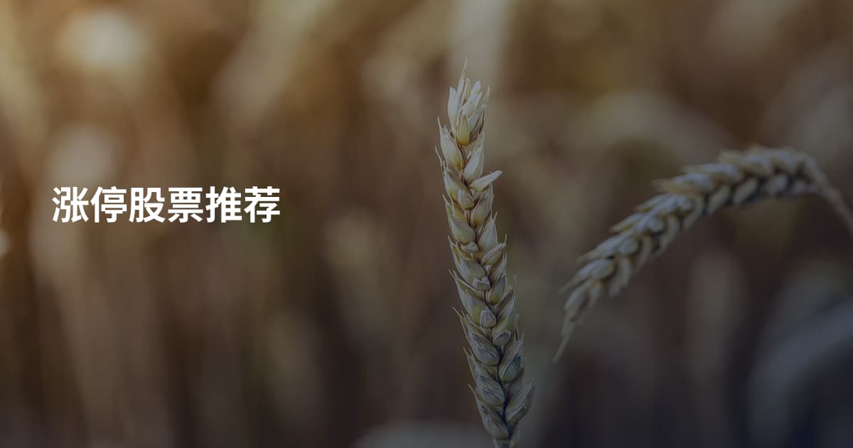 涨停股票推荐