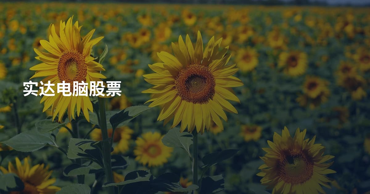 实达电脑股票