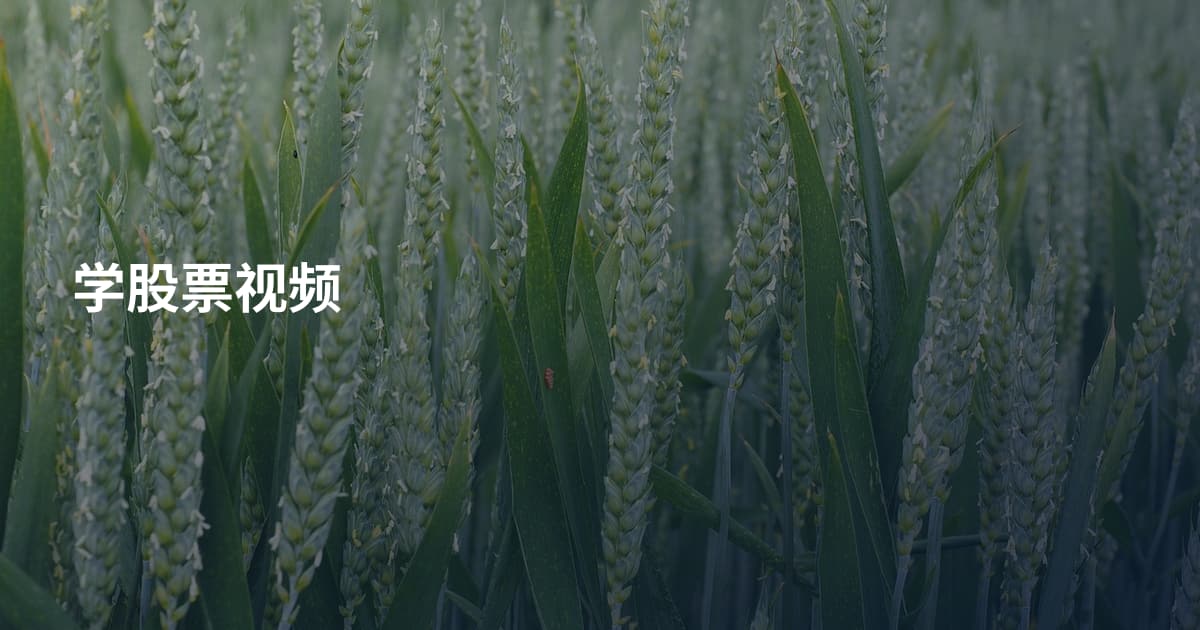 学股票视频