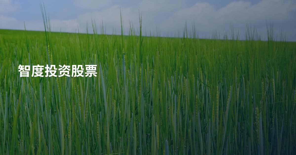 智度投资股票
