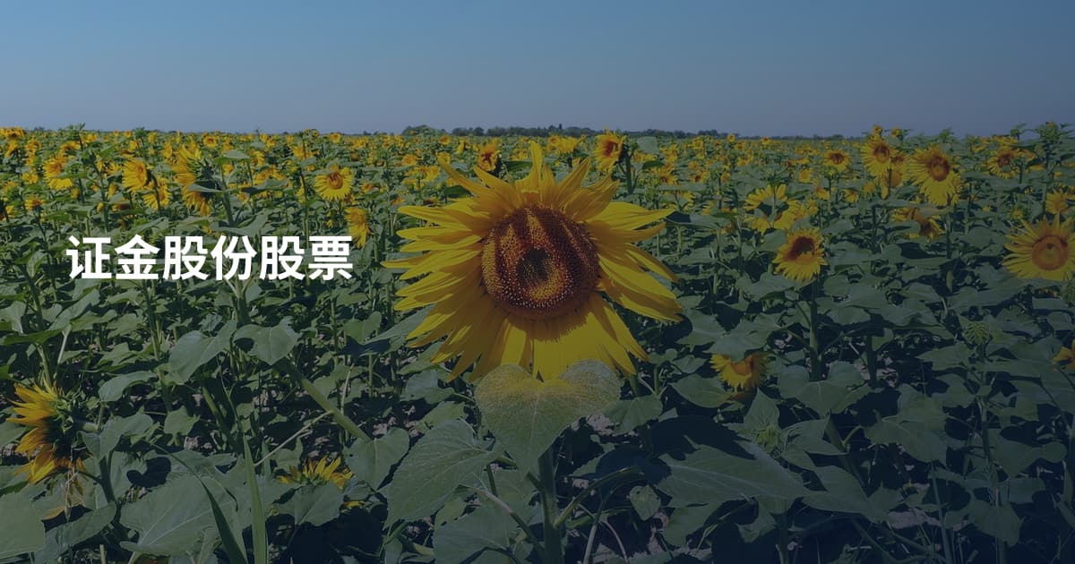 证金股份股票