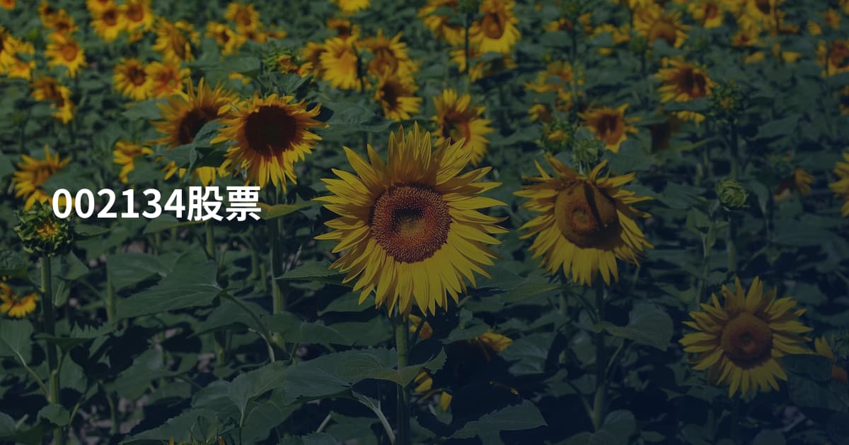 002134股票