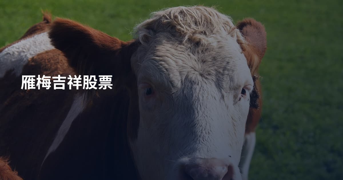 雁梅吉祥股票
