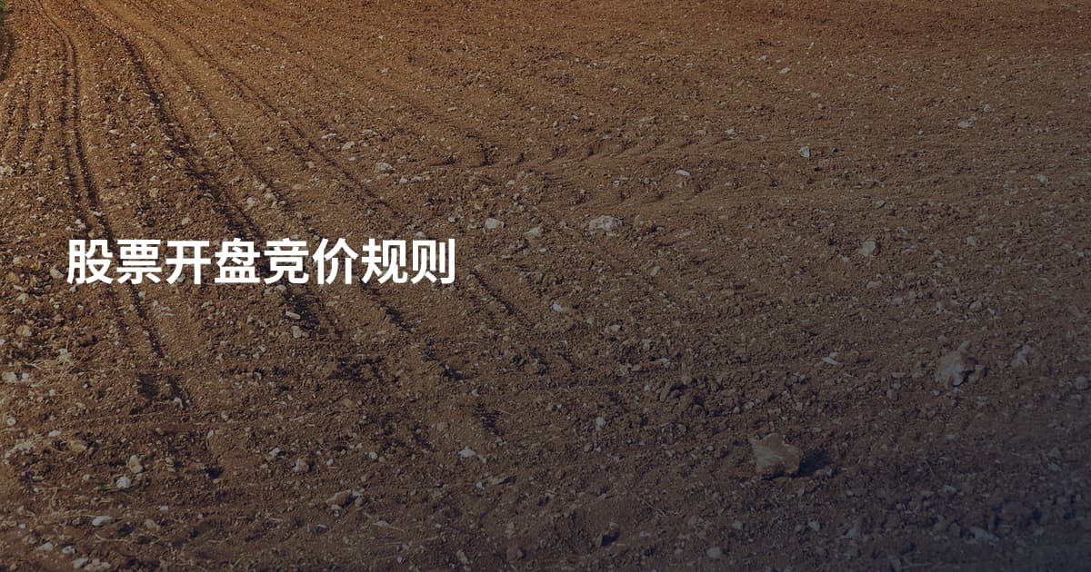 股票开盘竞价规则