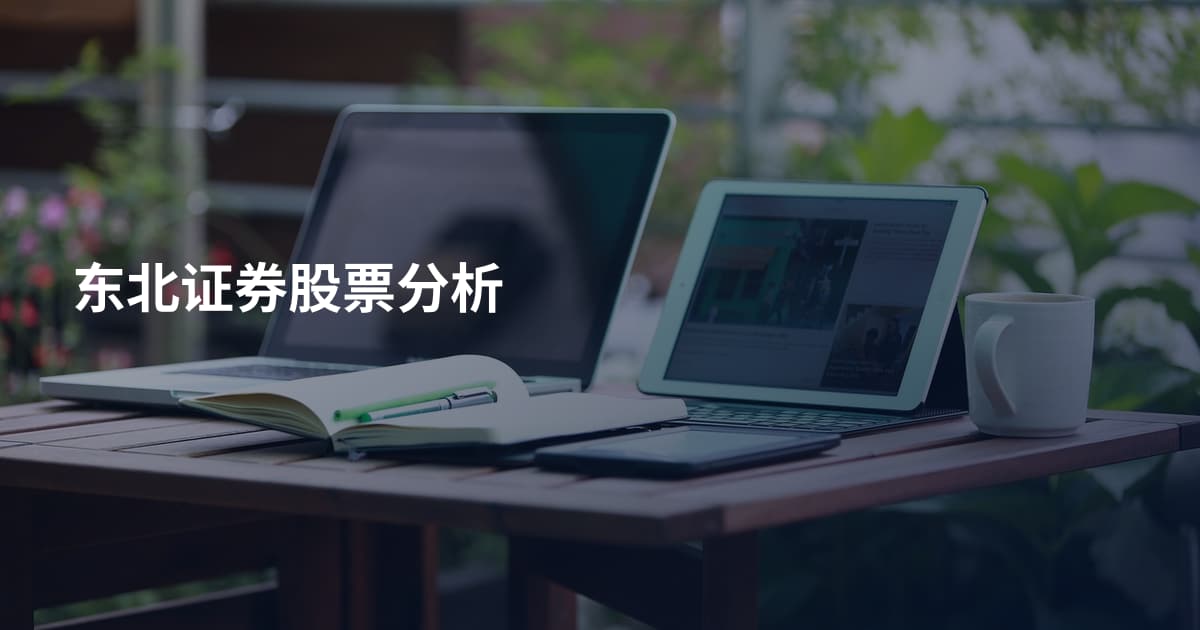 东北证券股票分析