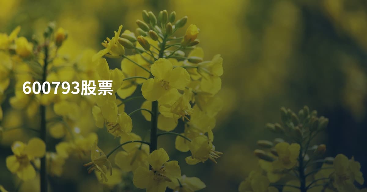 600793股票