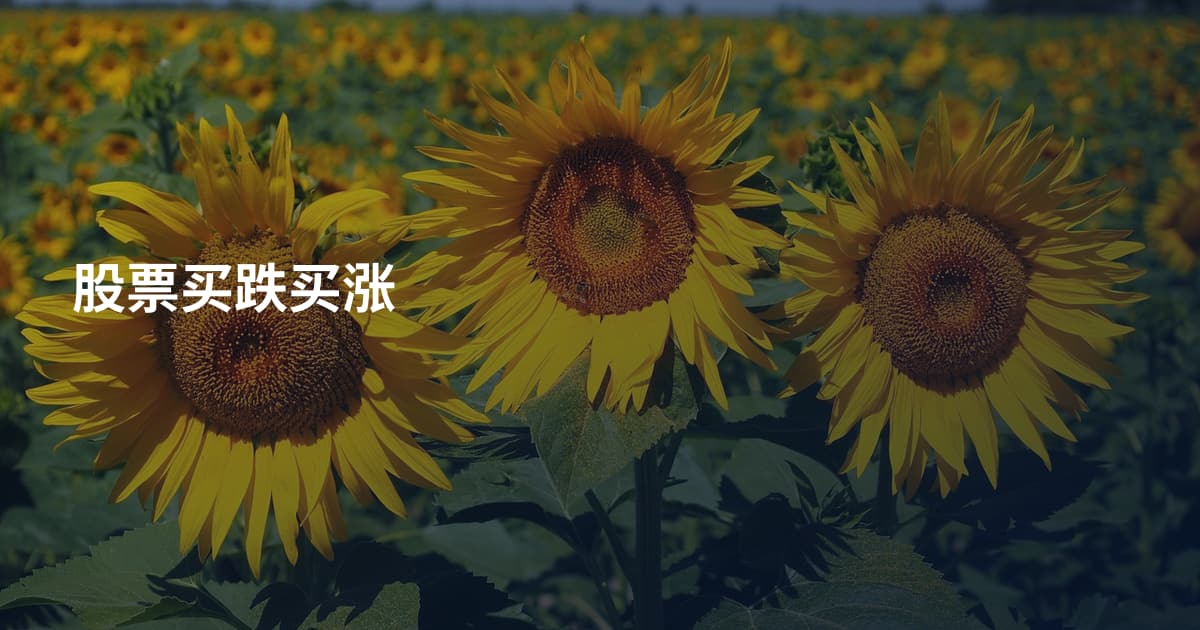 股票买跌买涨
