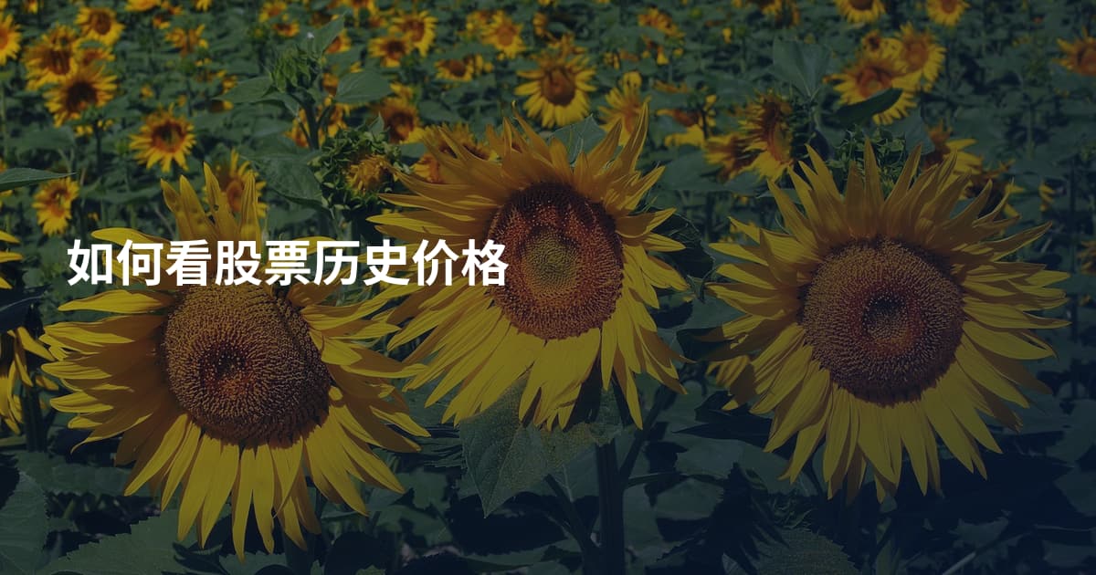 如何看股票历史价格