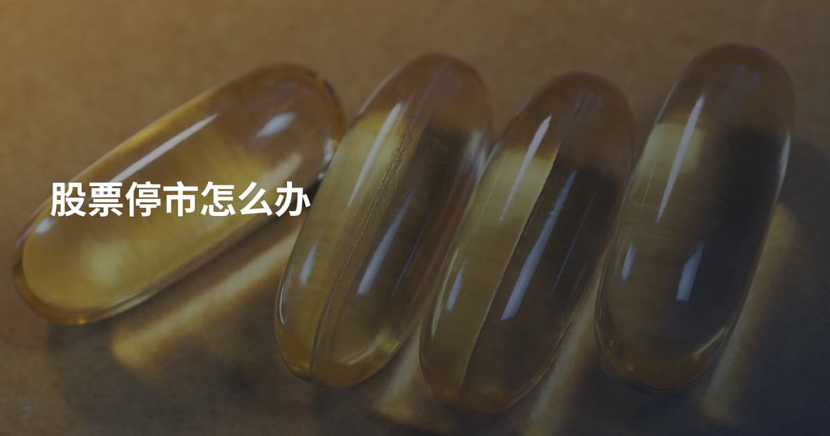 股票停市怎么办