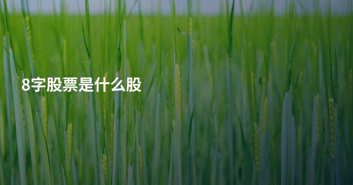 8字股票是什么股