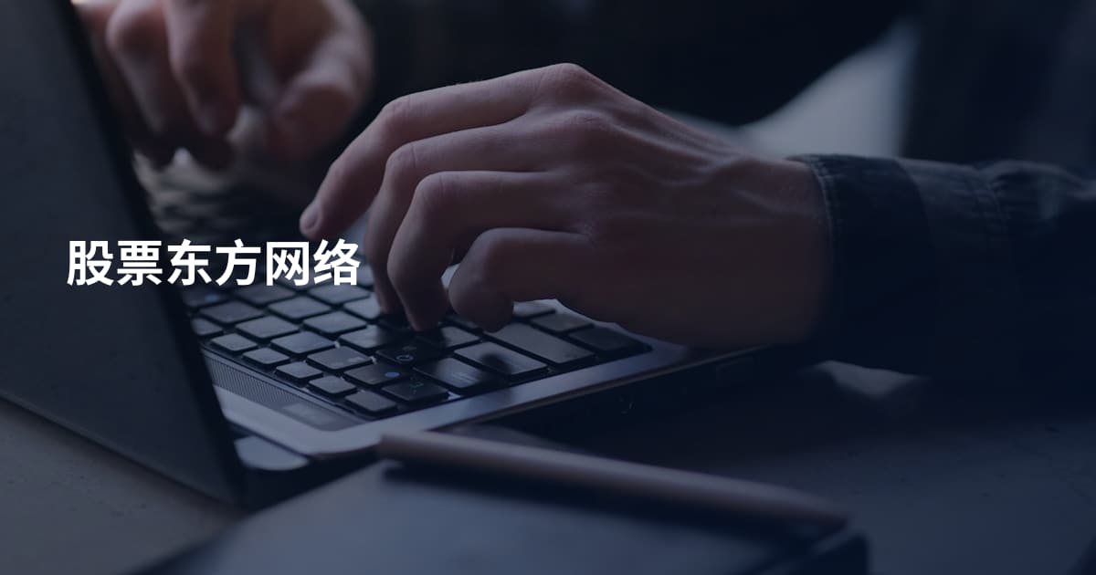 股票东方网络