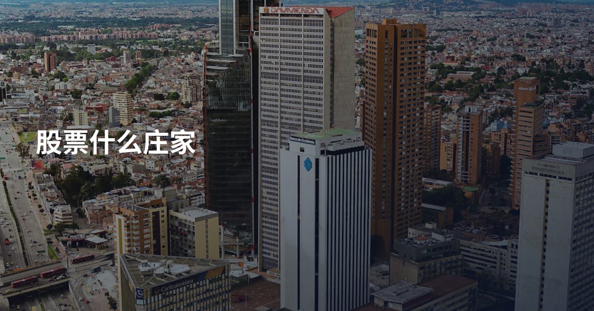股票什么庄家