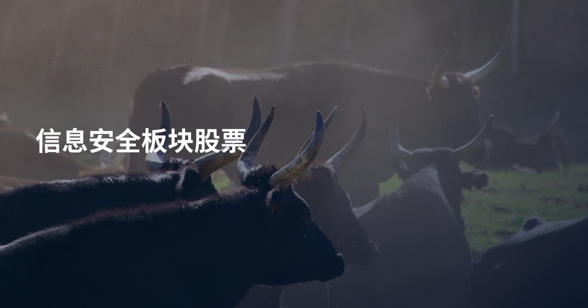 信息安全板块股票