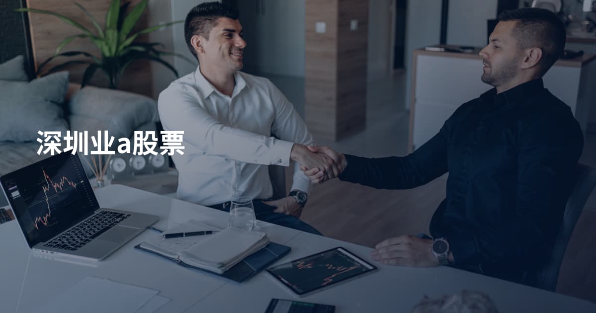 深圳业a股票