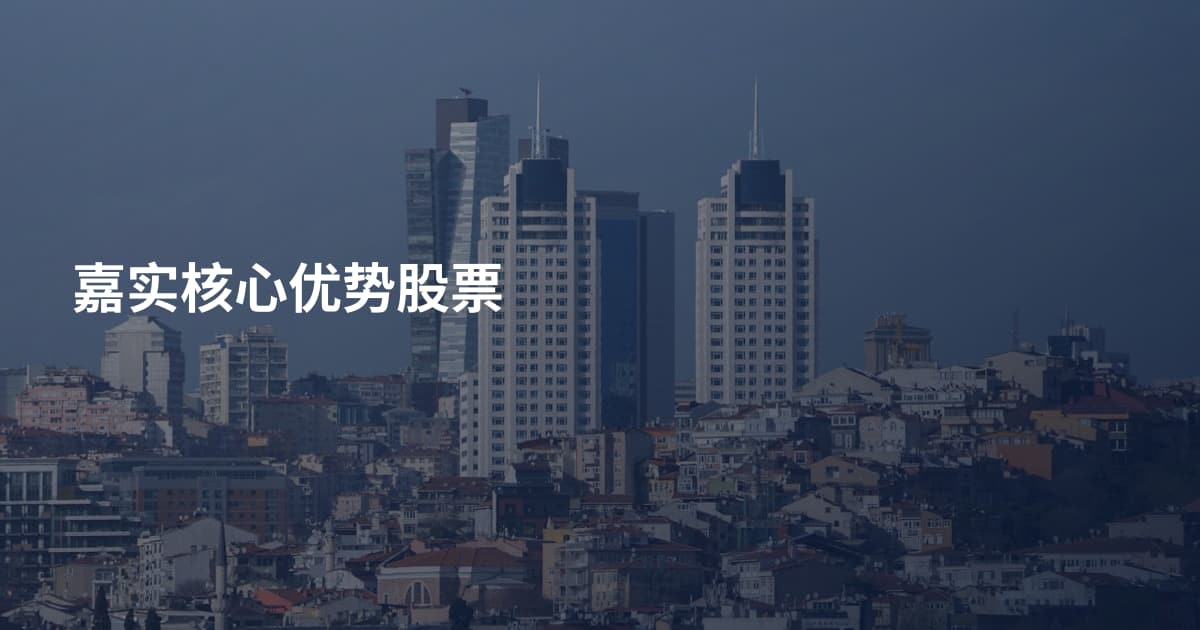 嘉实核心优势股票
