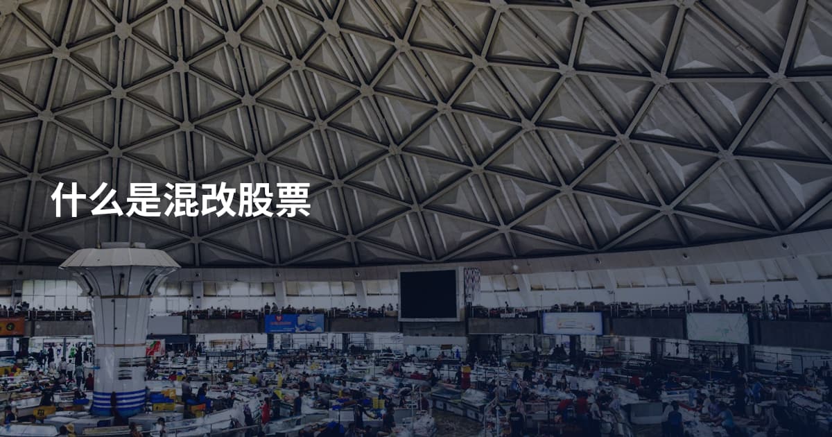 什么是混改股票