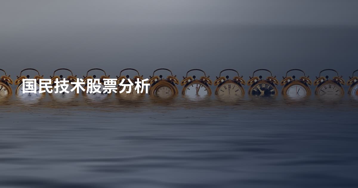 国民技术股票分析