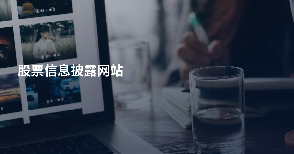 股票信息披露网站