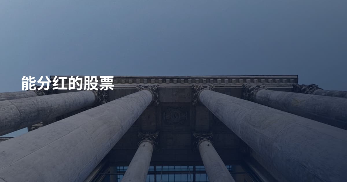 能分红的股票