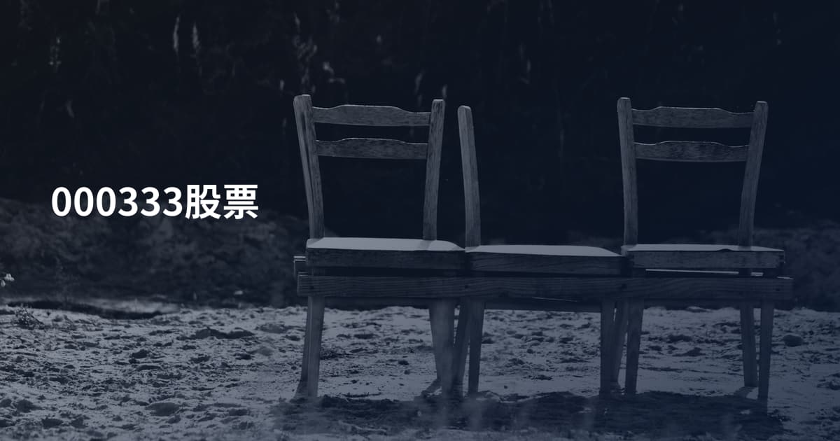 000333股票