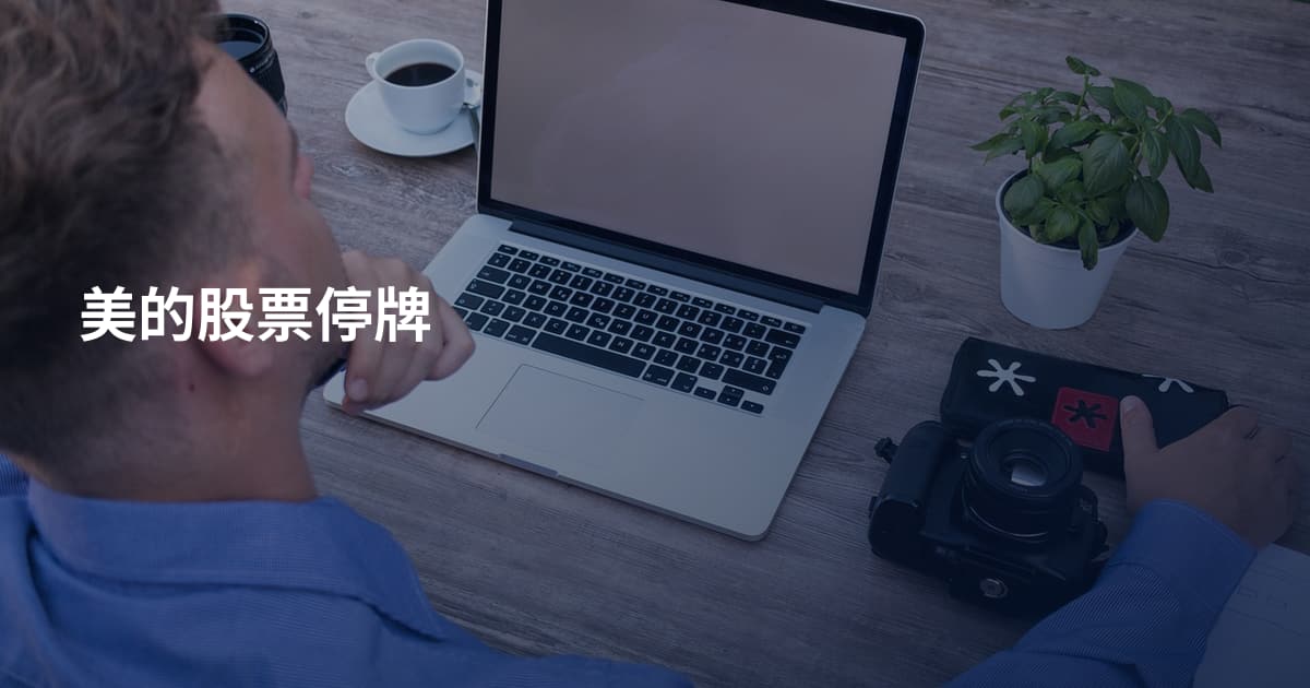 美的股票停牌