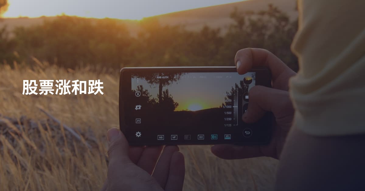 股票涨和跌