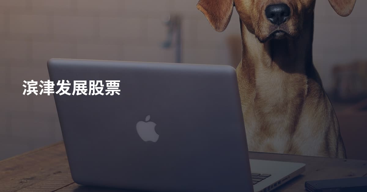 滨津发展股票