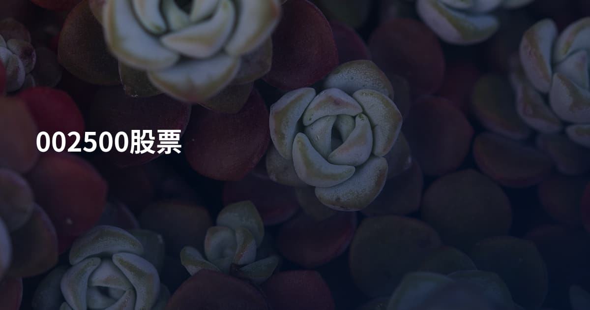 002500股票