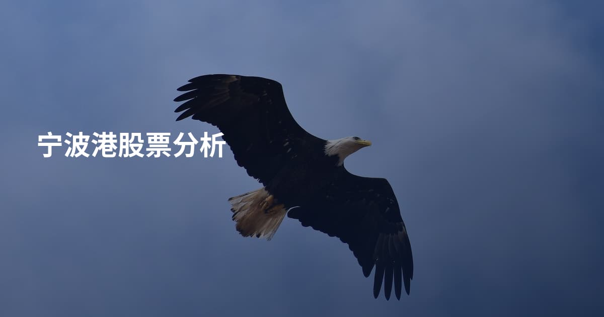 宁波港股票分析