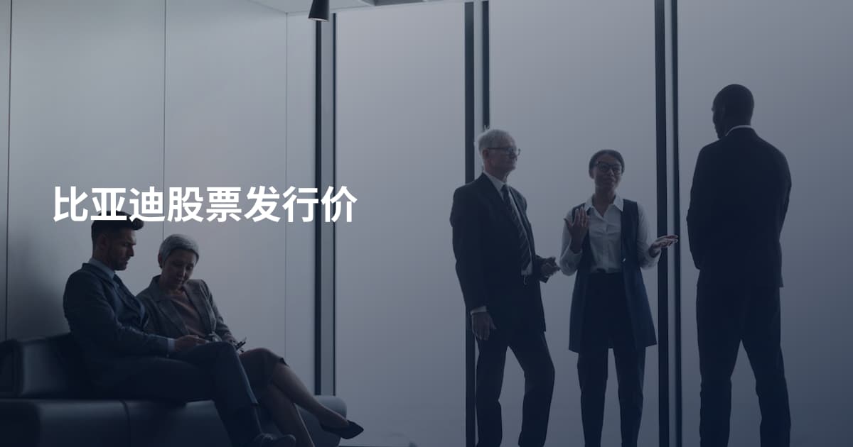 比亚迪股票发行价