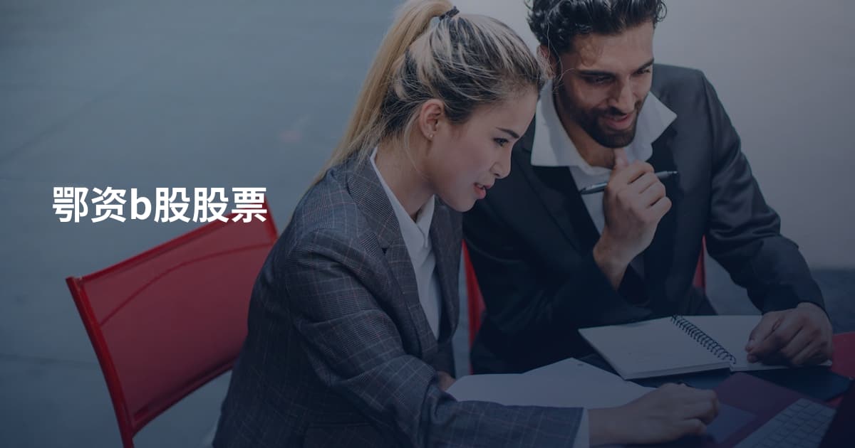 鄂资b股股票