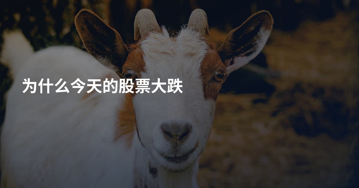 为什么今天的股票大跌