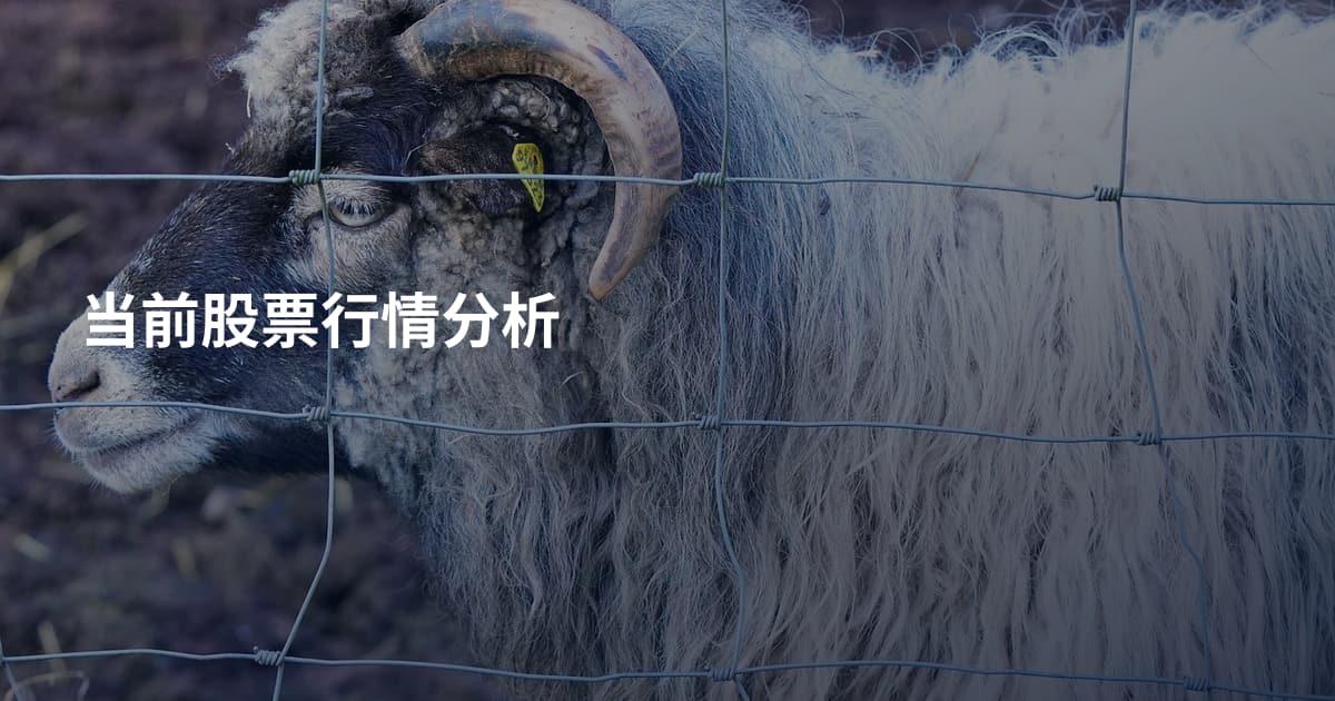 当前股票行情分析