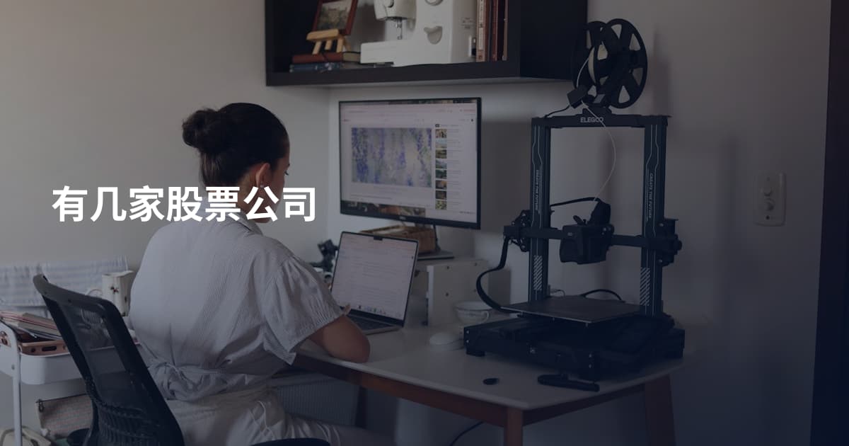 有几家股票公司