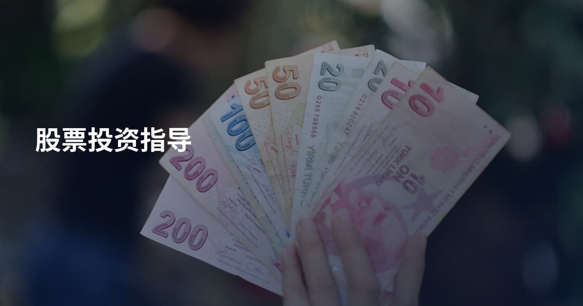 股票投资指导